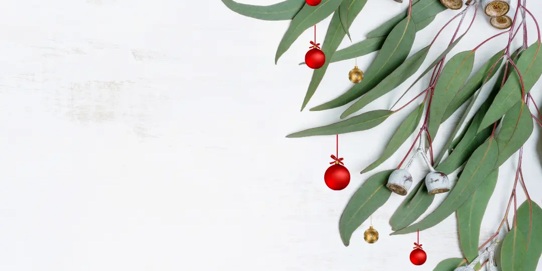 Volunteer Christmas Morning Teas Instagram Post 1