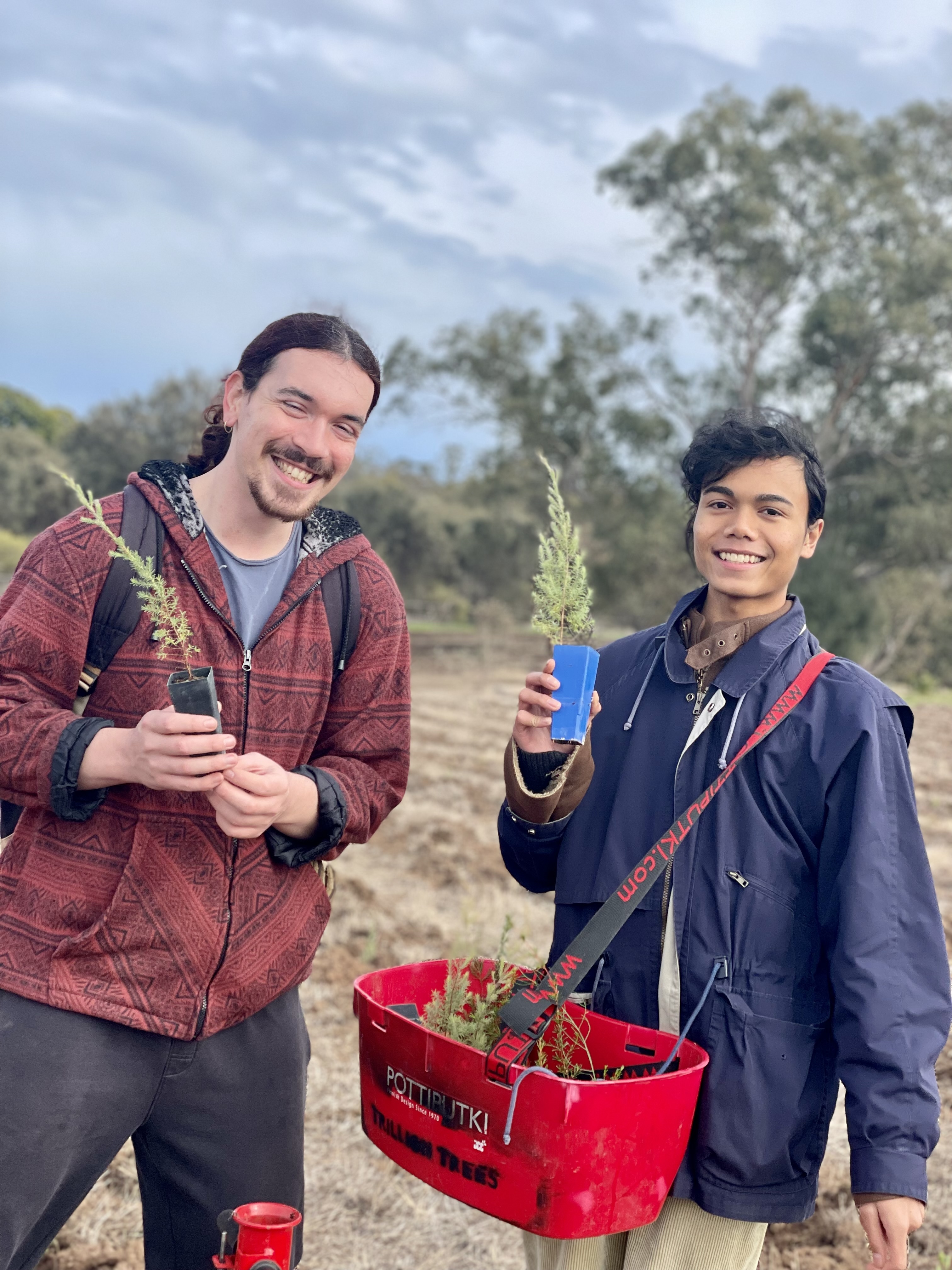 Young men planting trees