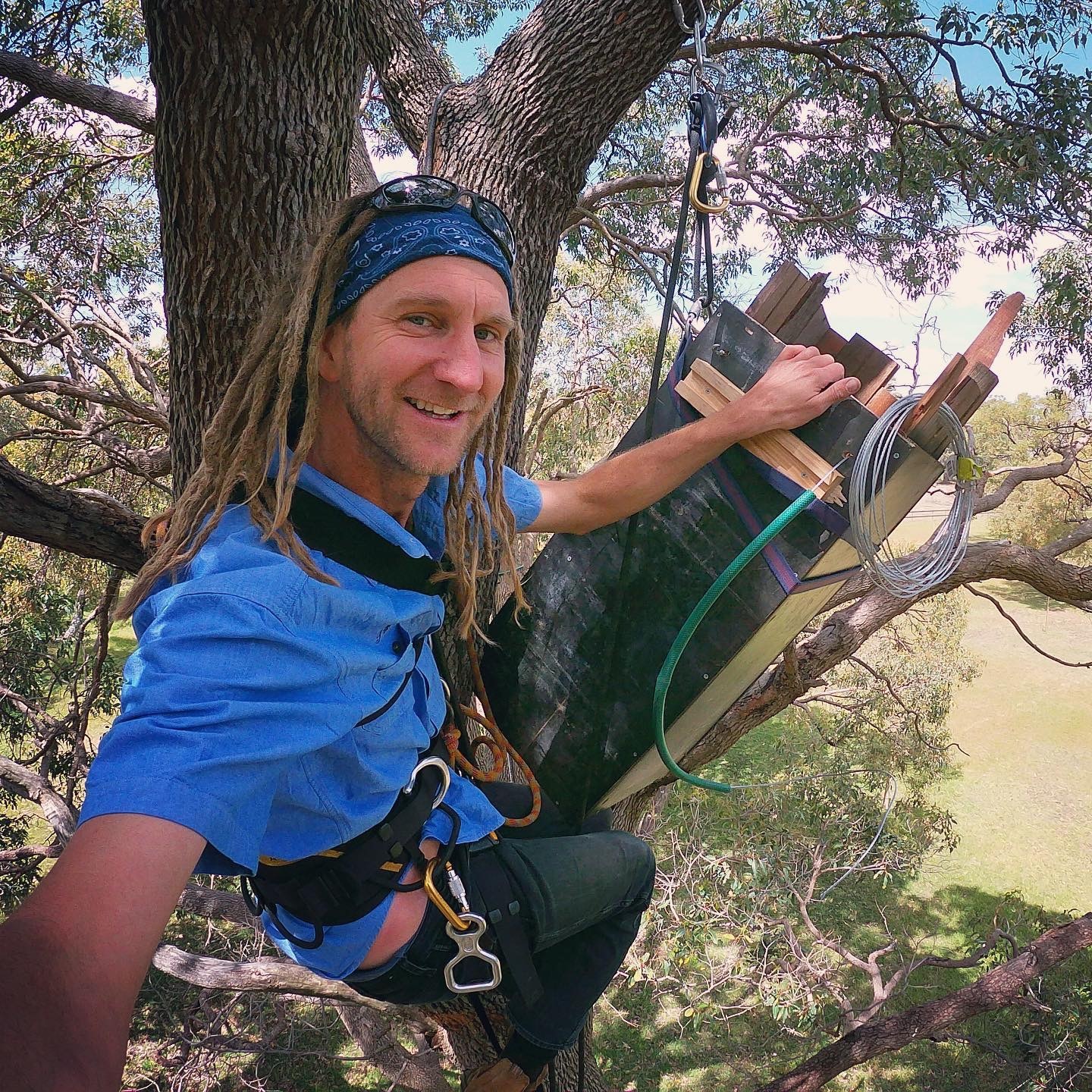 Simon Cherriman in tree