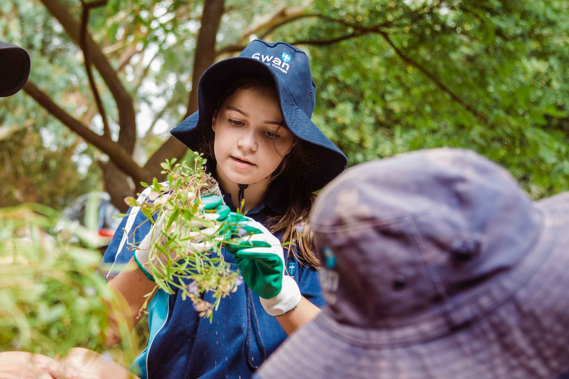 Trillion Trees Schools Program 3