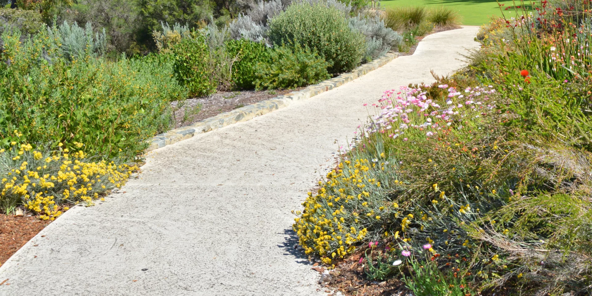 Native garden Kings park