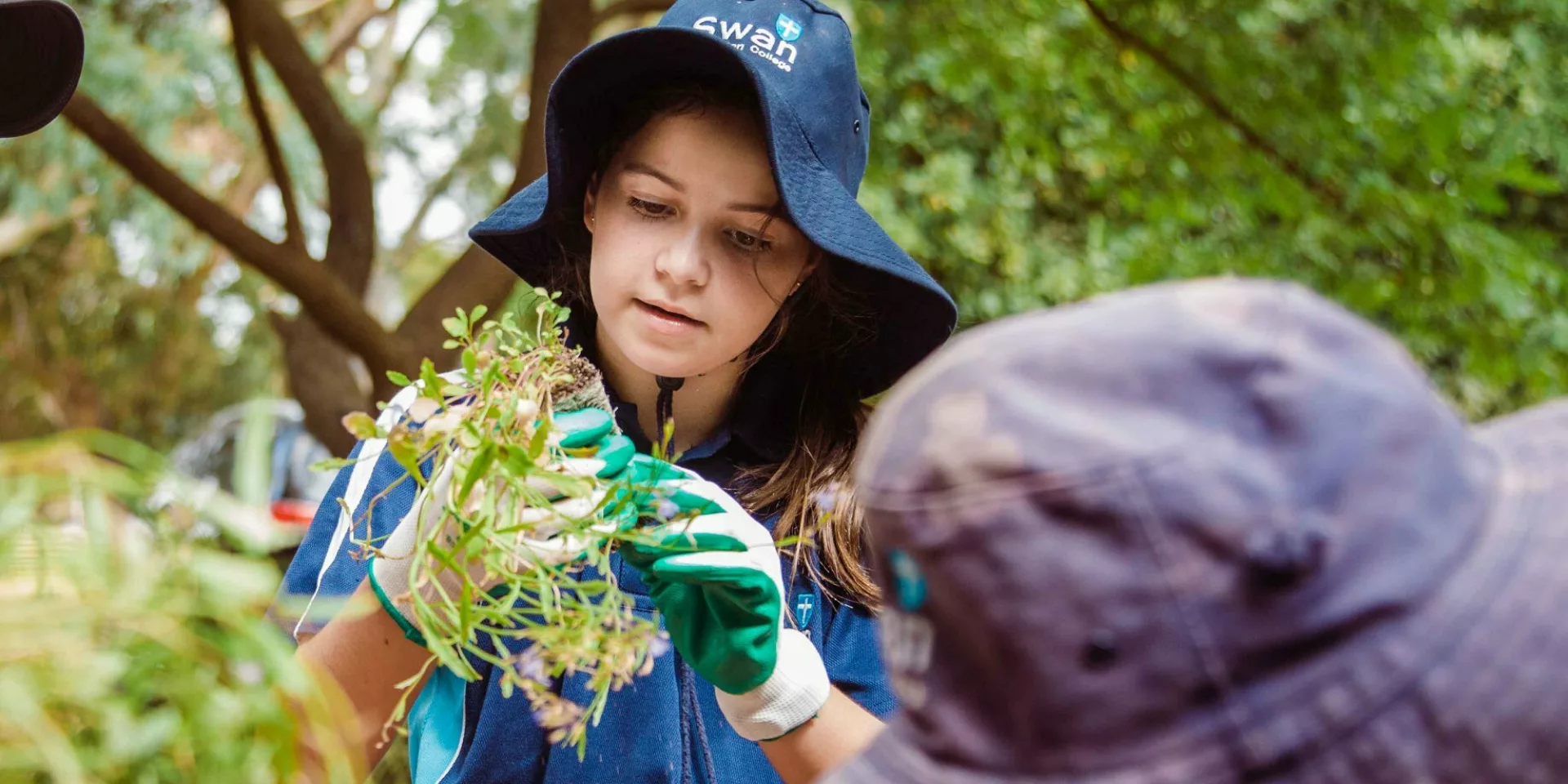 Trillion Trees Schools Program 3