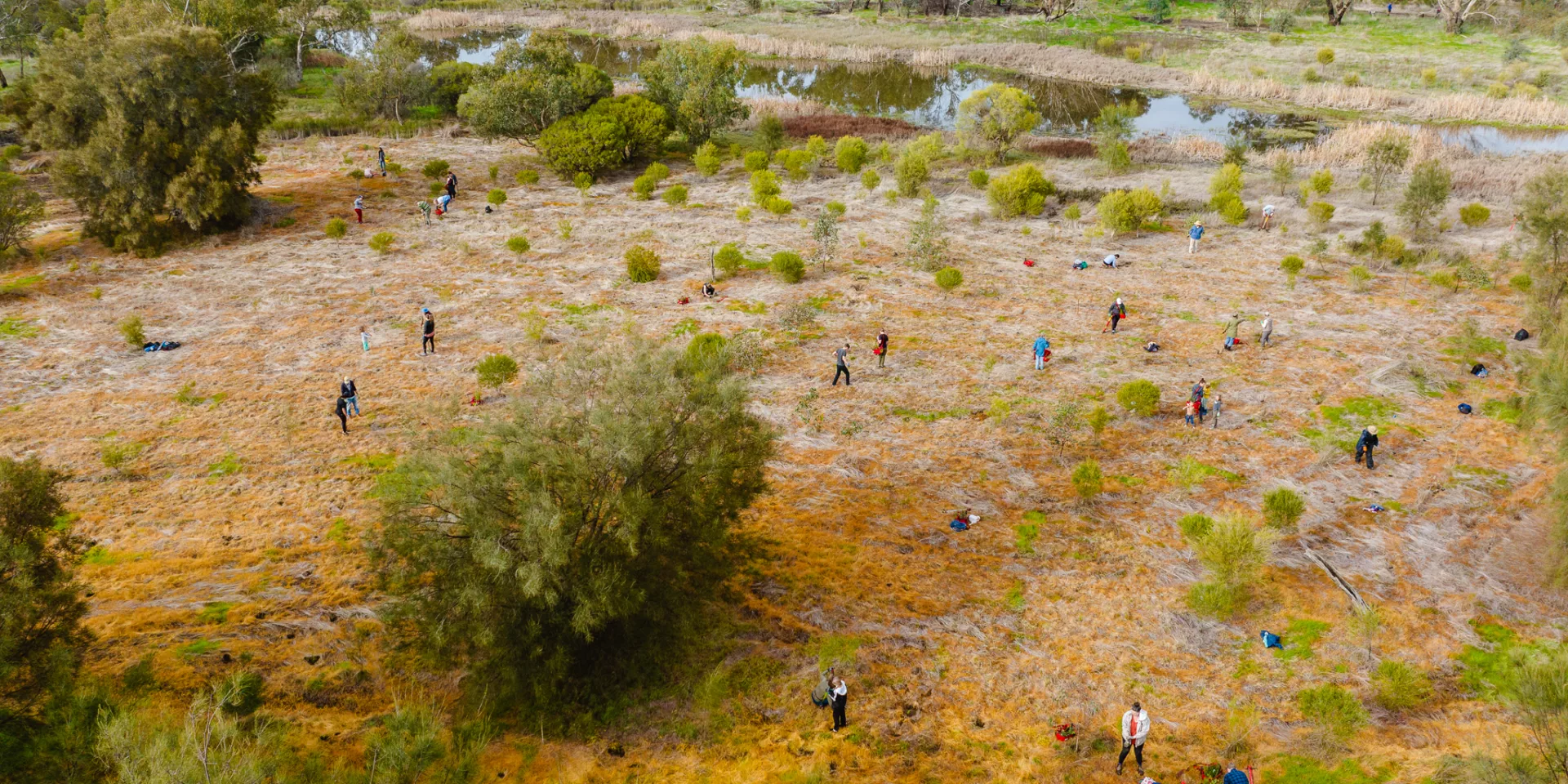 0099 TRILLIONTREES BASEIMAGERY