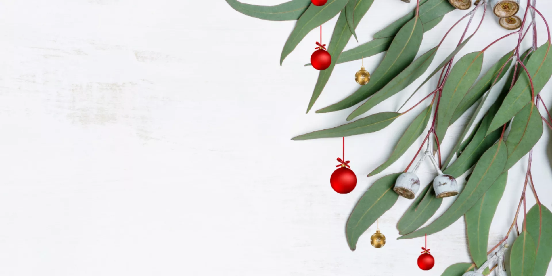 Volunteer Christmas Morning Teas Instagram Post 1