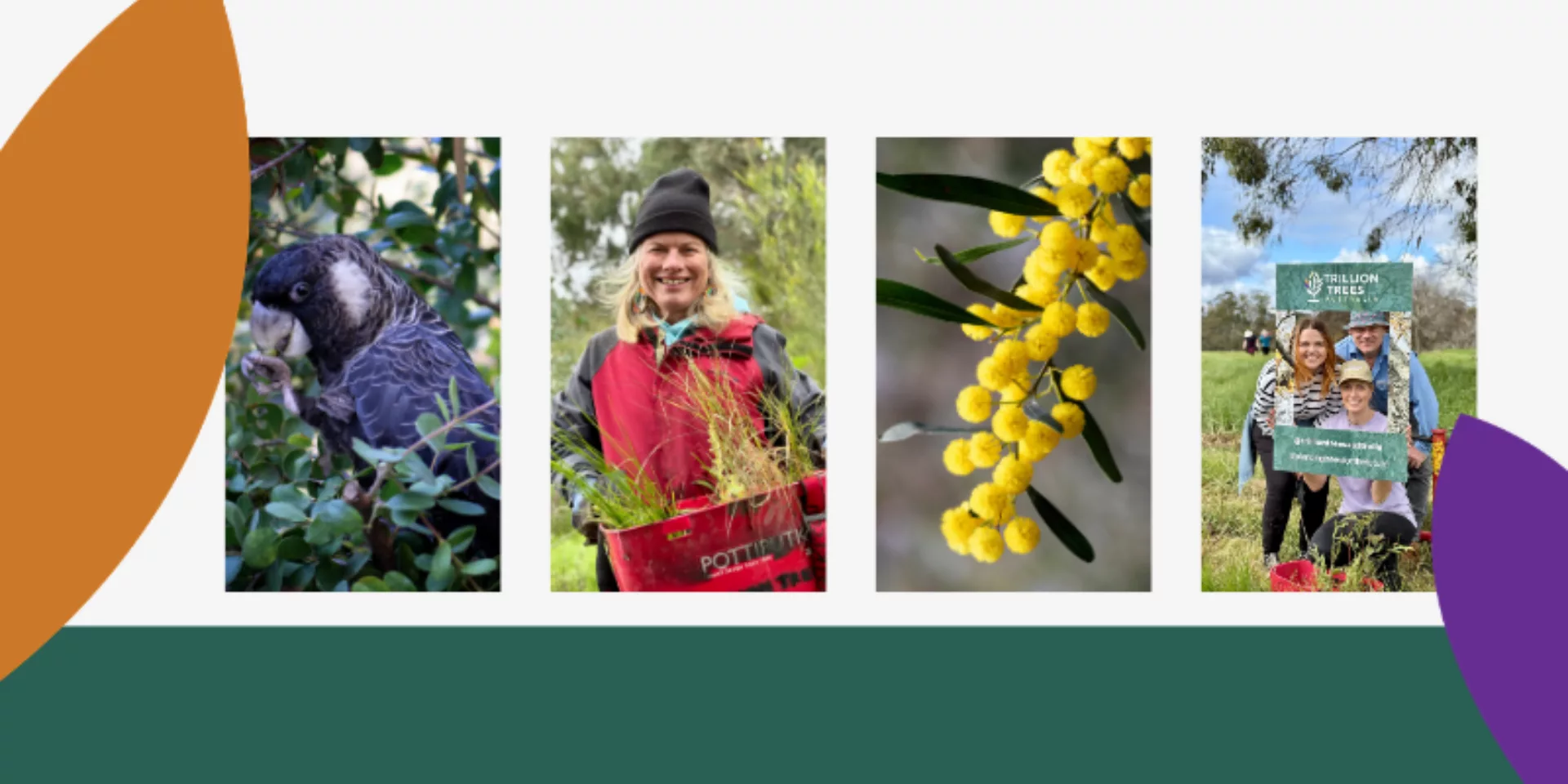 Trillion Trees Impact Report 2025 800 x 450 px 1