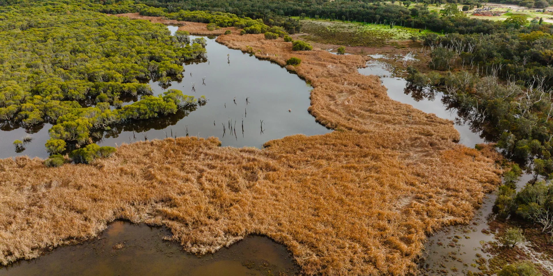 0094 TRILLIONTREES BASEIMAGERY