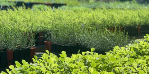 Photo 1 3 23 9 51 30 am