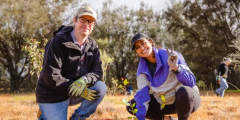 0079 TRILLIONTREES BASEIMAGERY