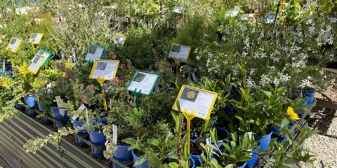 Nursery 2022