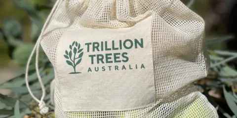 Produce bag