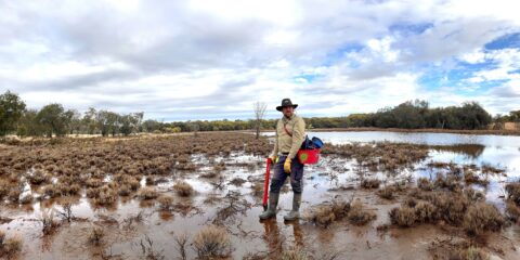 Julian wetland 2022