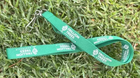 Lanyard