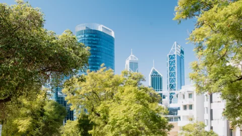 Canopy trees heatwave