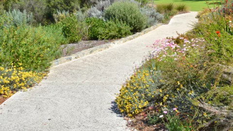 Native garden Kings park