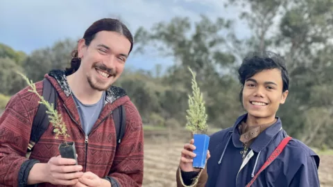 Two young men planting trees