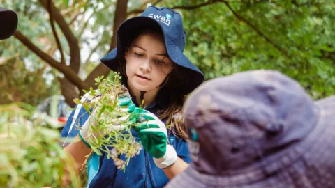 Trillion Trees Schools Program 3