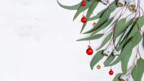 Volunteer Christmas Morning Teas Instagram Post 1