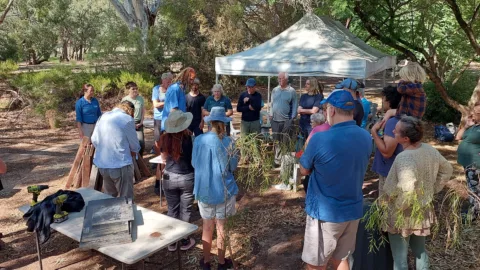Nest box workshop group