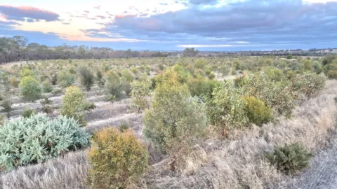 Nomans Lake progress3 2025