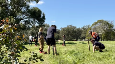 IMG 1116