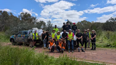 Nature care volunteers with weeds