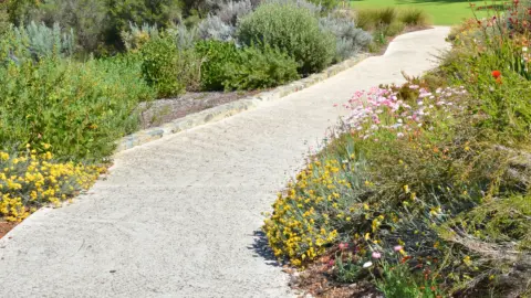 Native garden Kings park