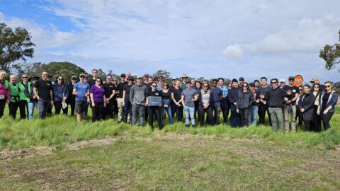 TPD 3 groups photo