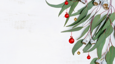 Volunteer Christmas Morning Teas Instagram Post 1