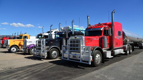 Chrissharkman truck 602567 1920