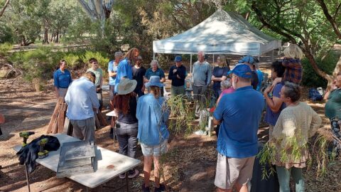 Nest box workshop group