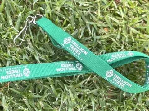 Lanyard