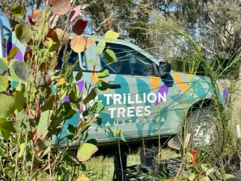 TT ute at Guiildford Meadow