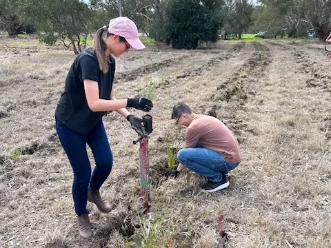 CBH staff planting Trillion Trees