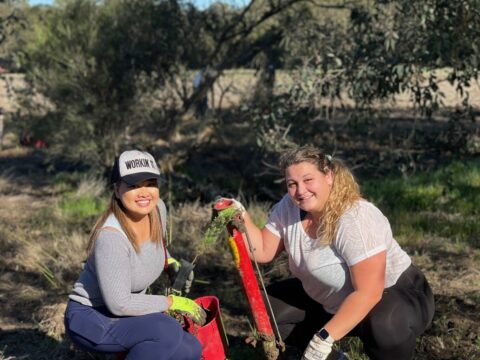 Team planting