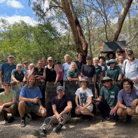 Nest box building group