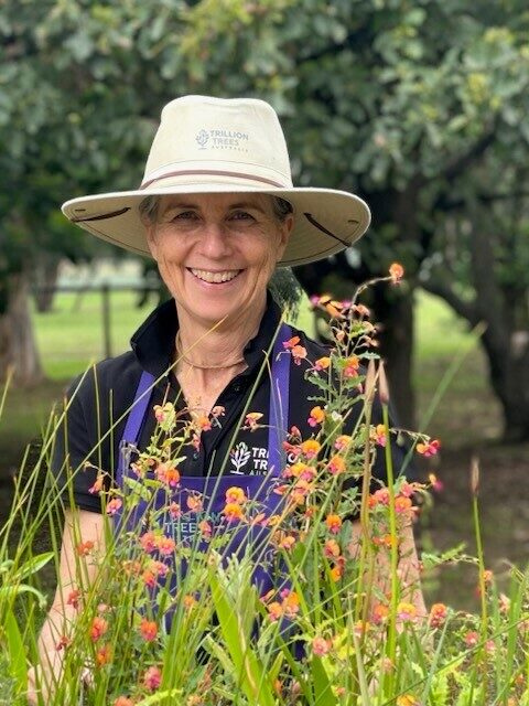 Donna Canci