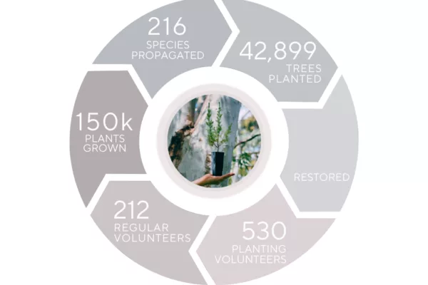 Impact report pie chart
