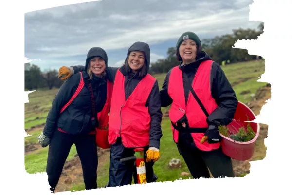 Impact report pie chart 1