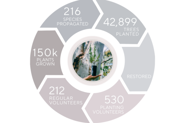 Impact report pie chart