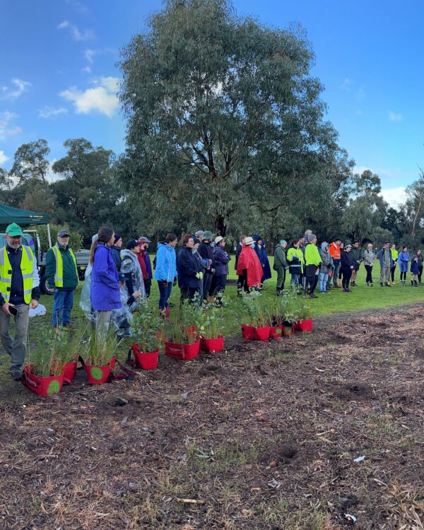 Reg bond planting 2022