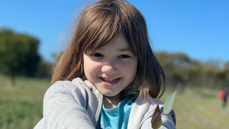 Summer planting Westdale