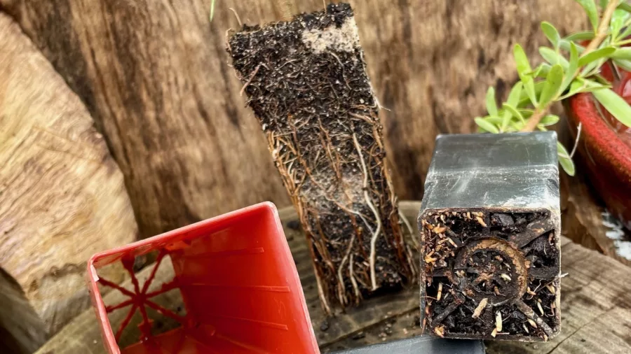 Air pruning pot photo