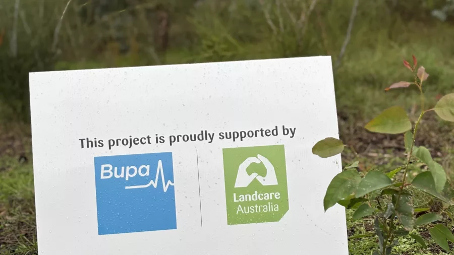 Bupa Landcare sign