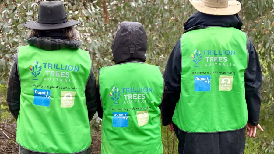 Bupa landcare vests