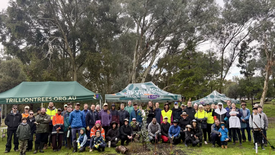 IMG 9579