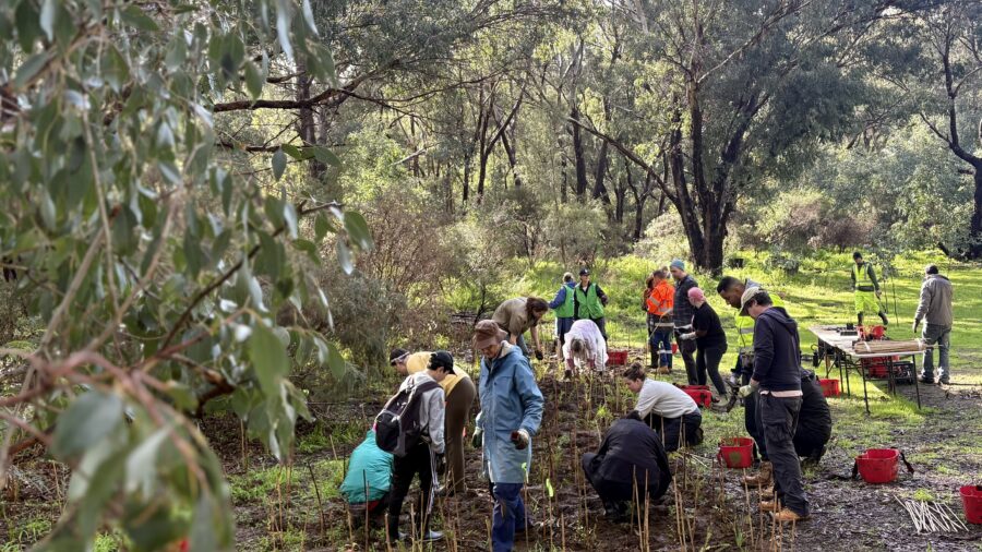 IMG 9752