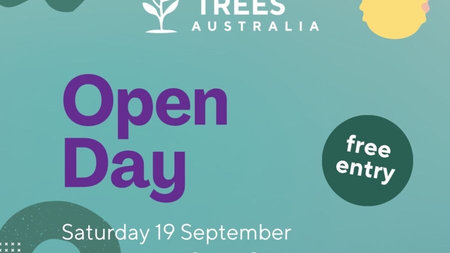 Open Day Poster 2026
