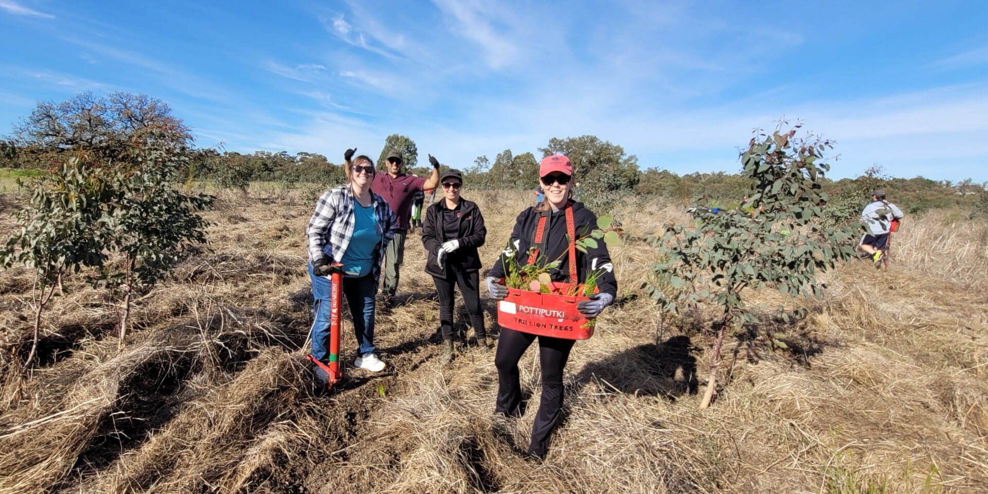 Trillion trees planting july29 2026 08