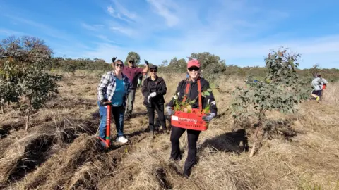 Trillion trees planting july29 2026 08