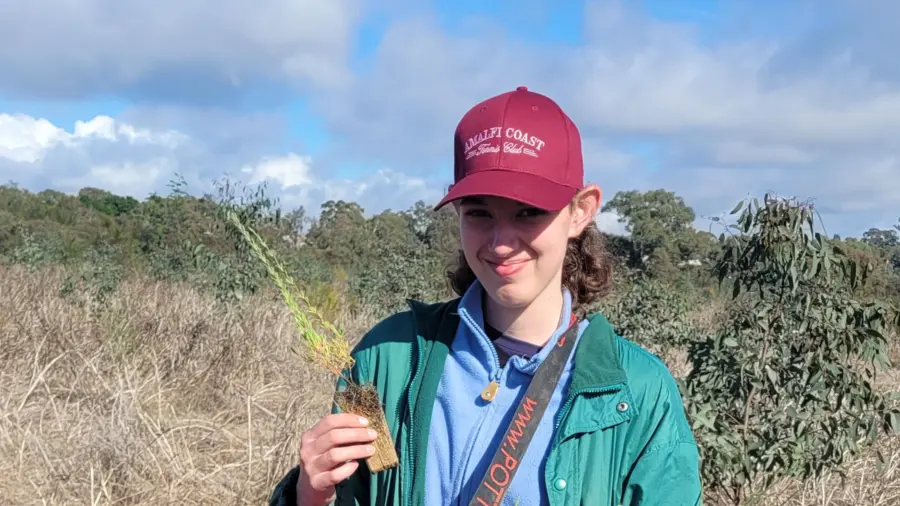 Trillion trees planting july10 2026 6